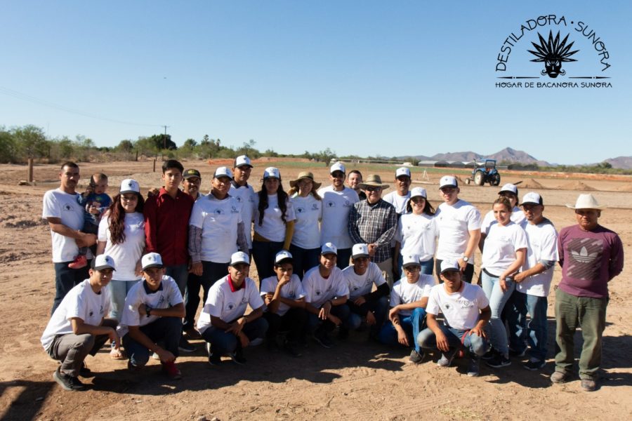 The 1st Annual Agave Reforestation Program 2019